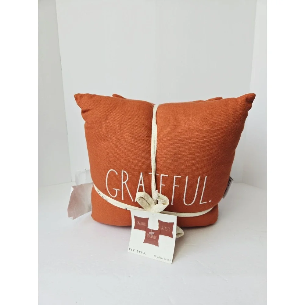 Rae Dunn 3 Throw Pillows 12